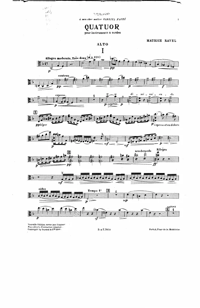 Viola