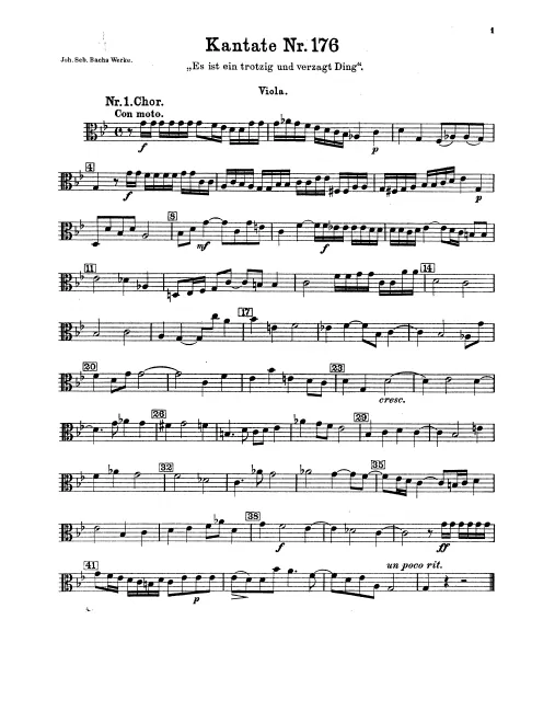 Violas