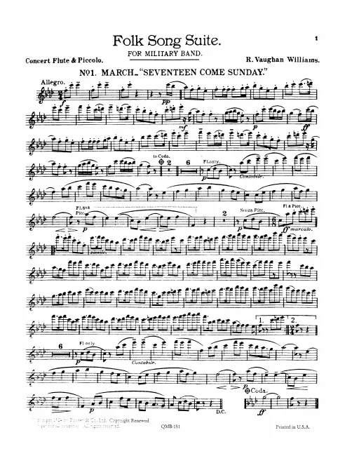 Flute/Piccolo