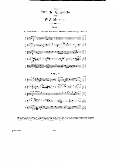 Violin 2
