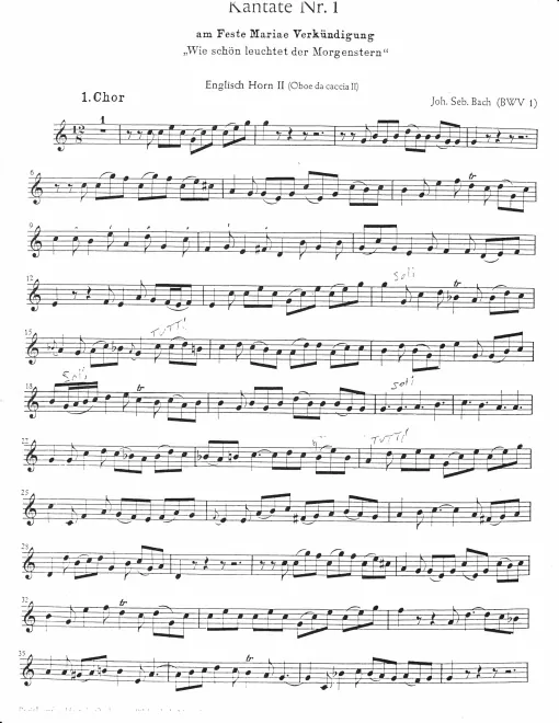 Oboe da caccia 2