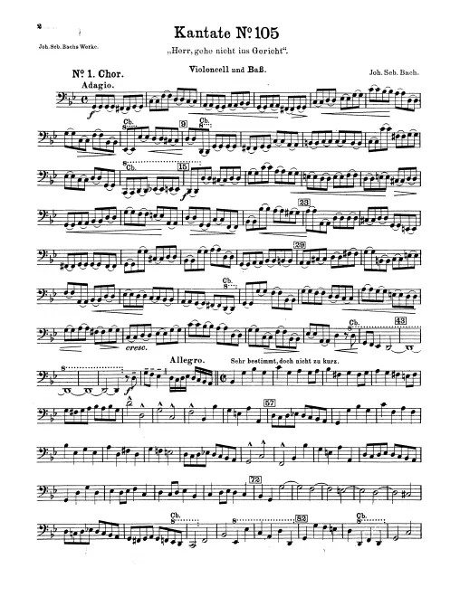 Cellos/Basses