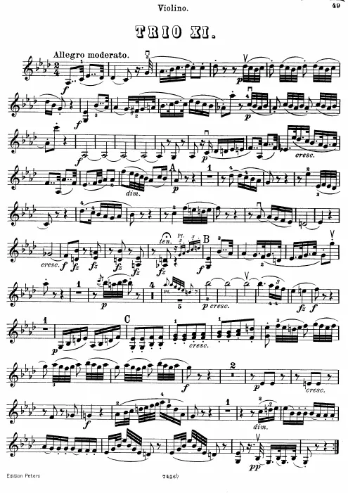 Violin