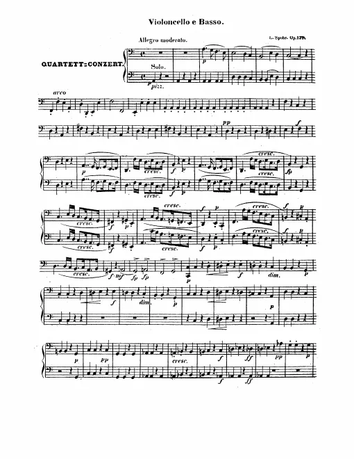 Cellos-Basses
