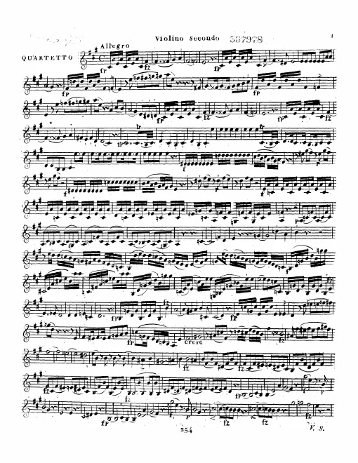 Violin 2