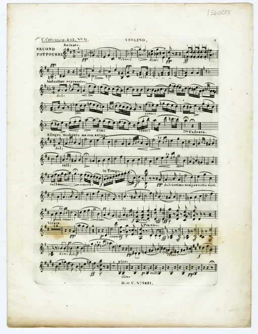Violin