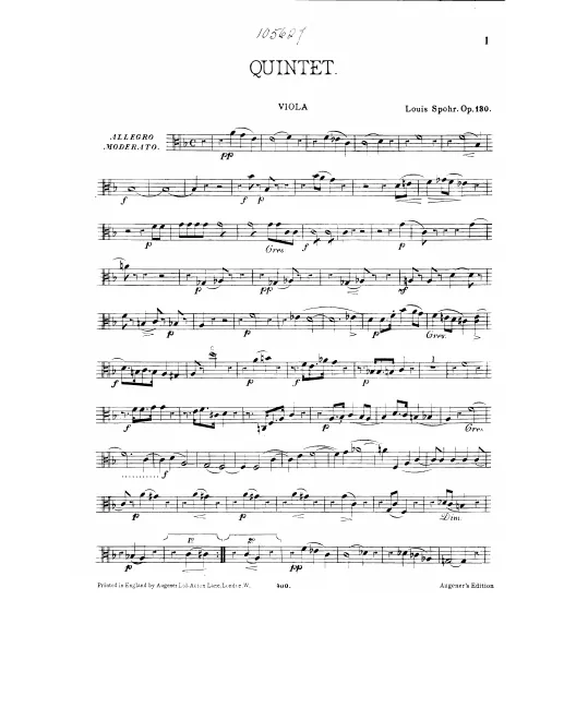 Viola