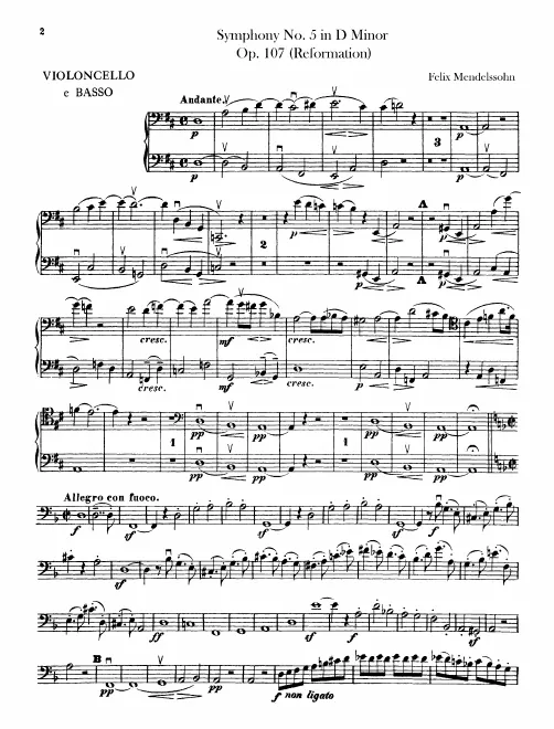 Cellos/Basses