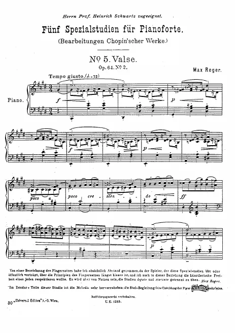 No.5 (after Chopin's Op.64/2)