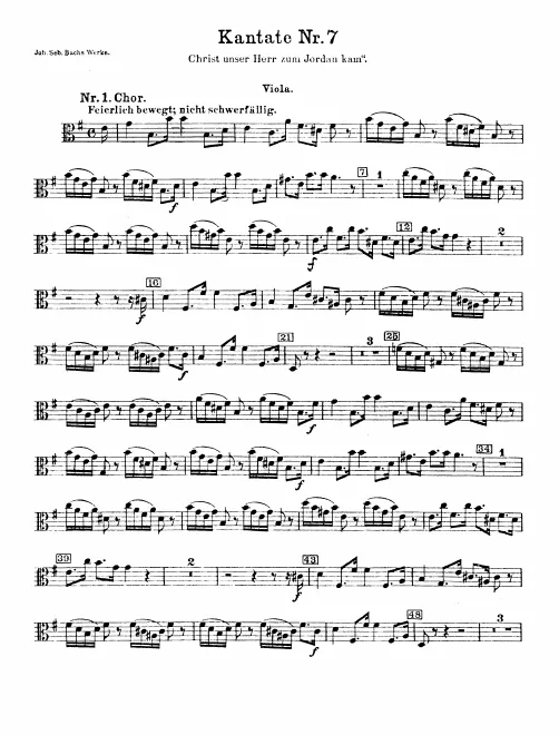 Violas