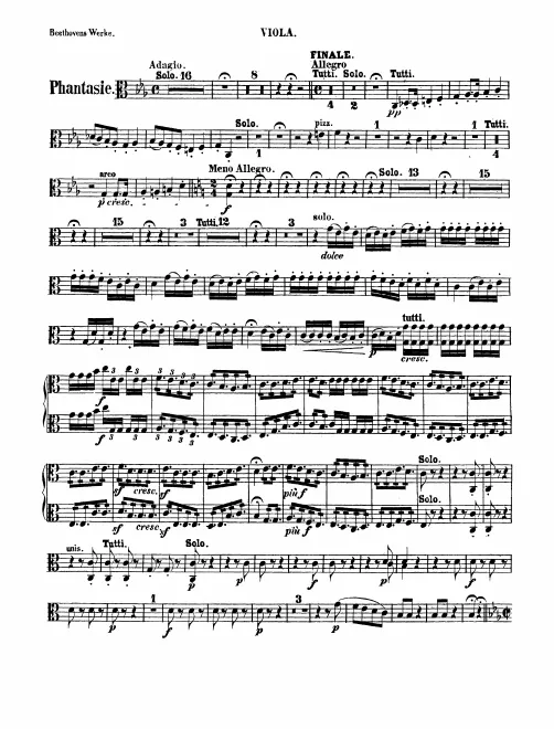 Violas