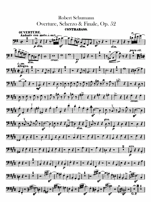Basses
