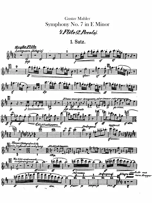 Flute 4/Piccolo 2