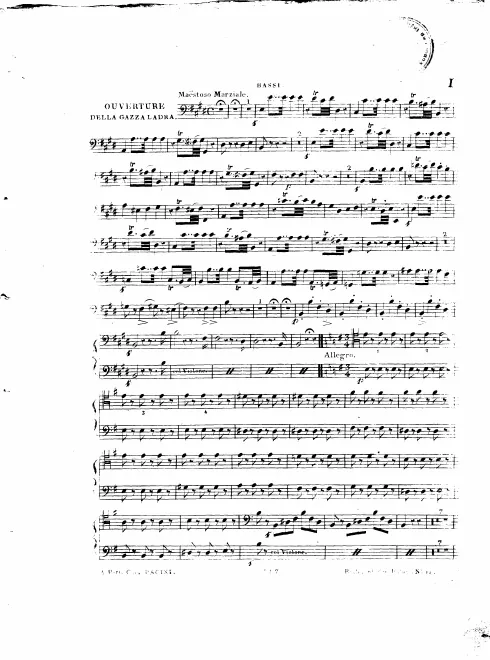 Cellos/Basses