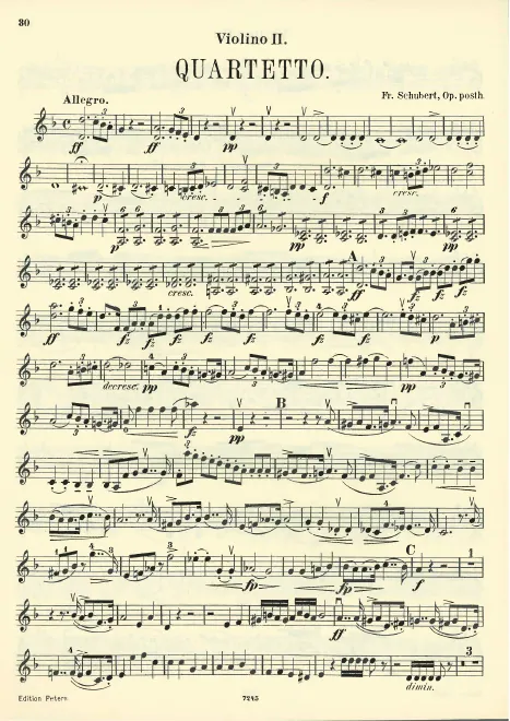 Violin 2