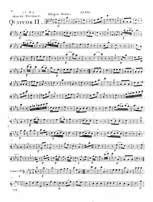 Viola
