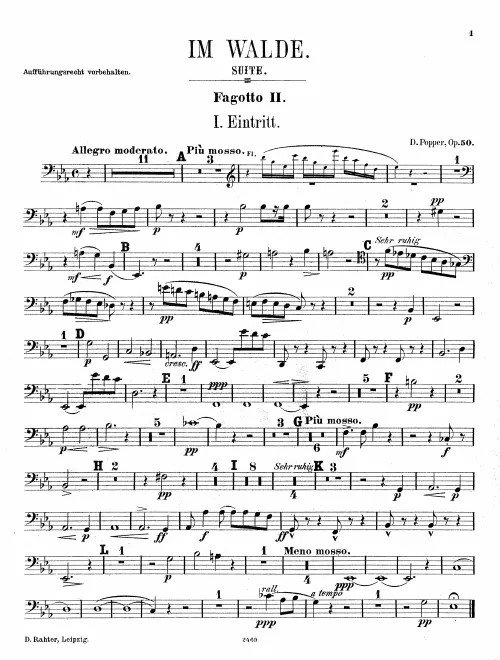 Bassoon 2
