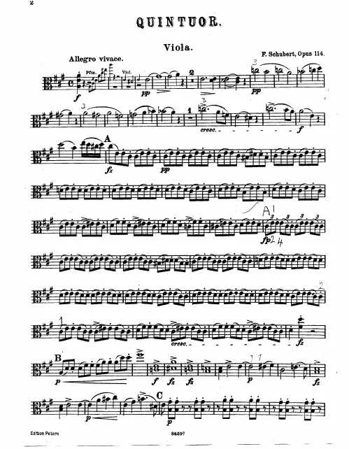 Viola