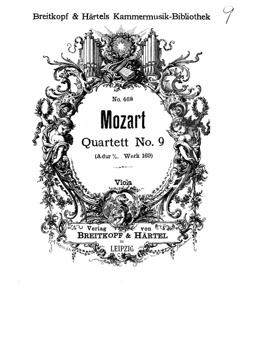 Viola