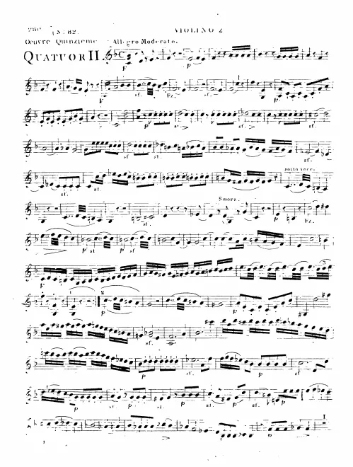 Violin 2