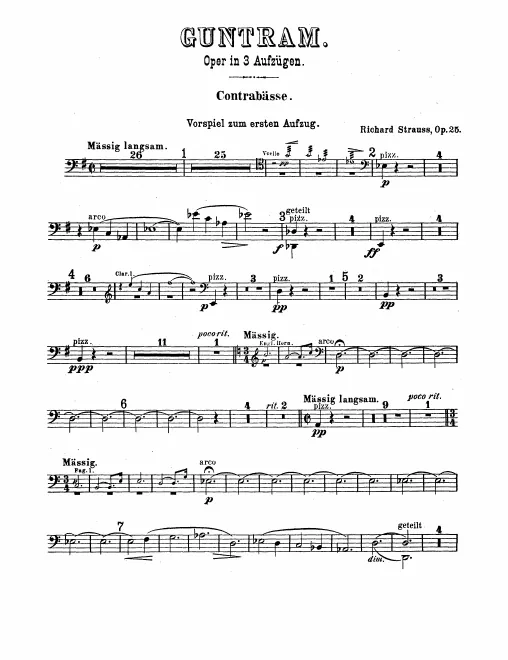 Basses