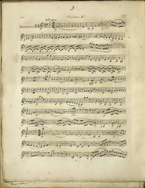 Violin 2