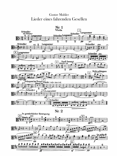 Violas