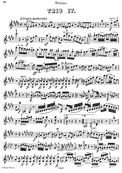 Violin