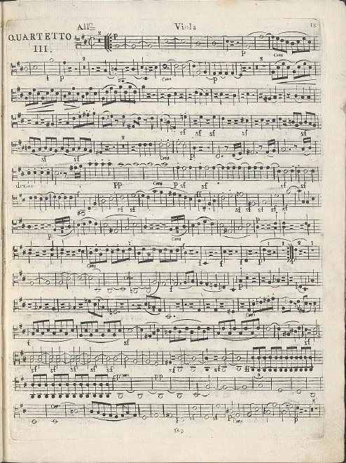 Viola