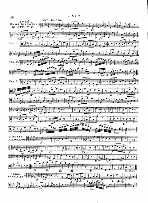 Viola