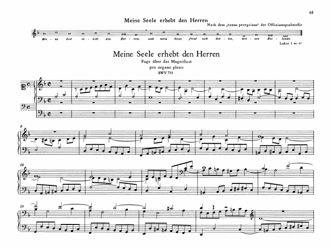 Meine Seele erhebt den Herren, BWV 733