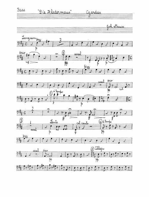 Basses