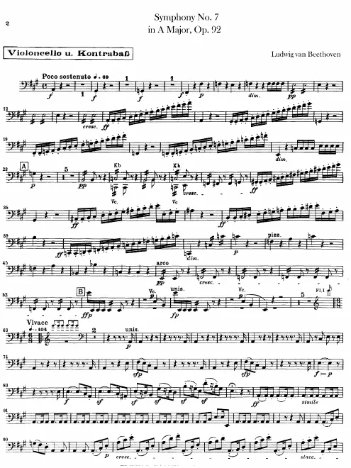 Cellos/Basses