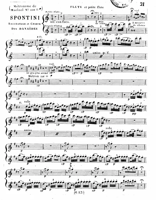 Flute, Piccolo