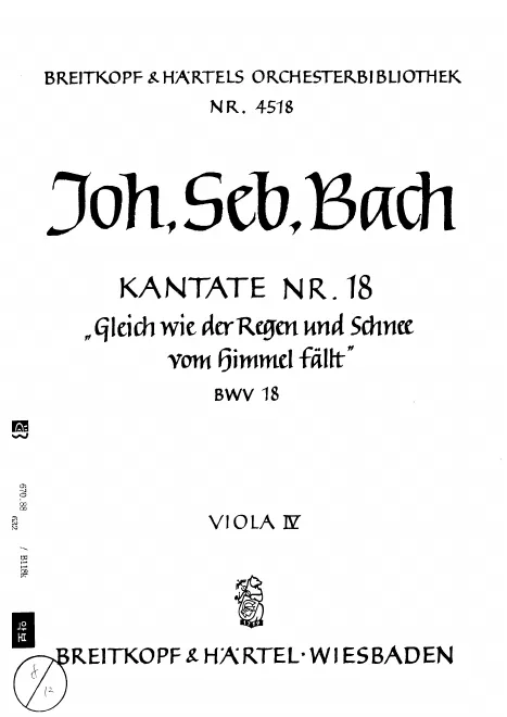 Violas IV