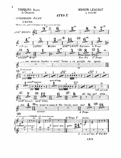 Snare Drum