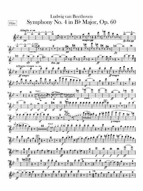 Flute