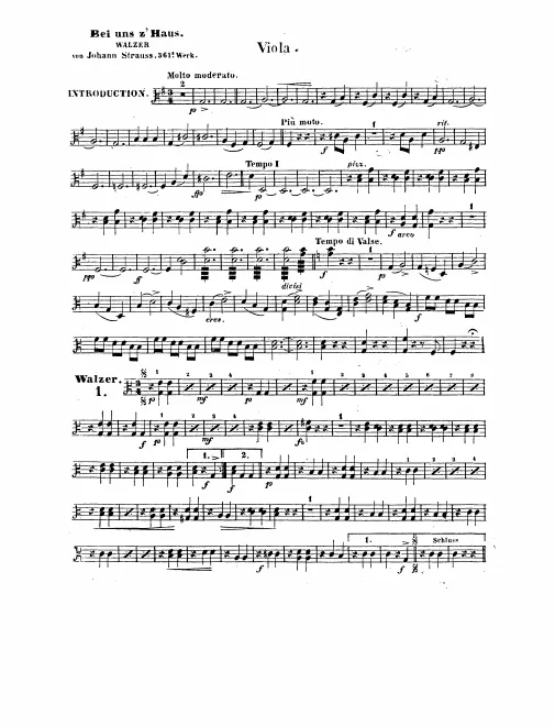 Violas