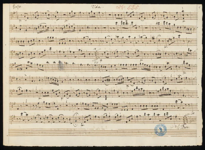 Viola