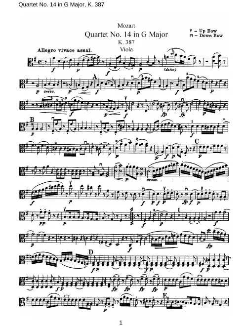 Viola