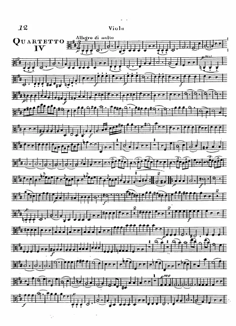 Viola