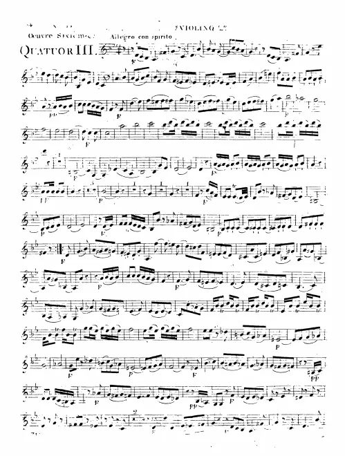 Violin 2