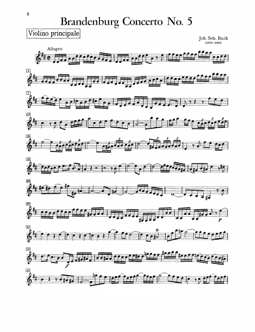 Violin Solo