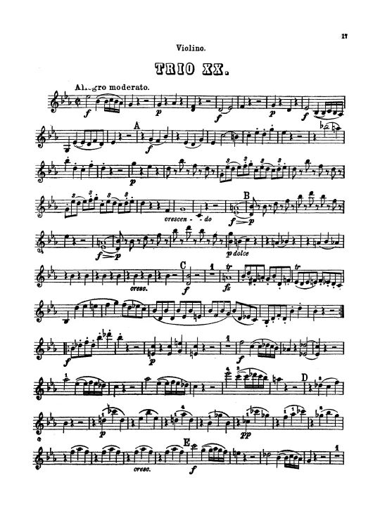 Violin