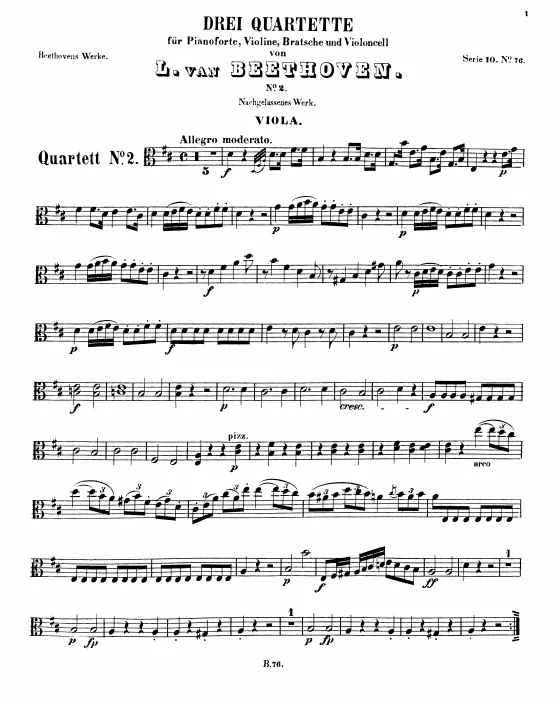 Viola