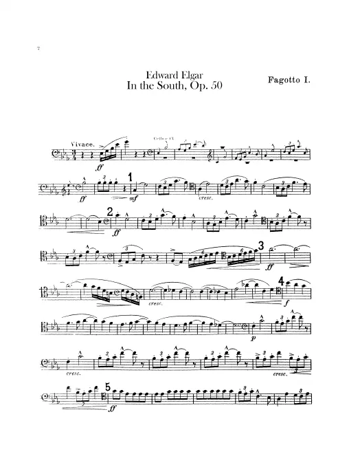 Bassoon 1, 2, Contrabassoon
