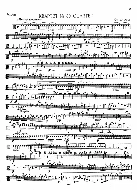 Viola