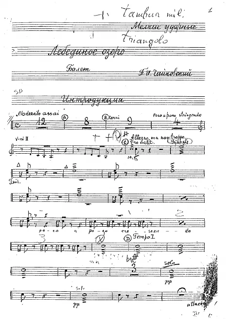 Percussion