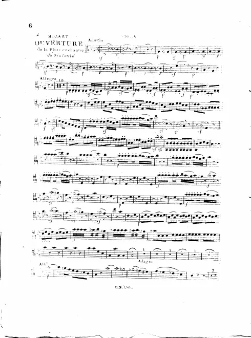 Violas