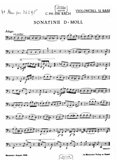 Cello / Double Bass